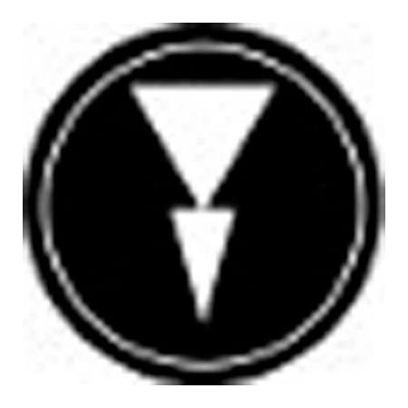 Springer Controls Co T.E.R., Two Speed Arrow Black Button Insert, Use w/ MIKE & VICTOR Pendants PRTA012MPI